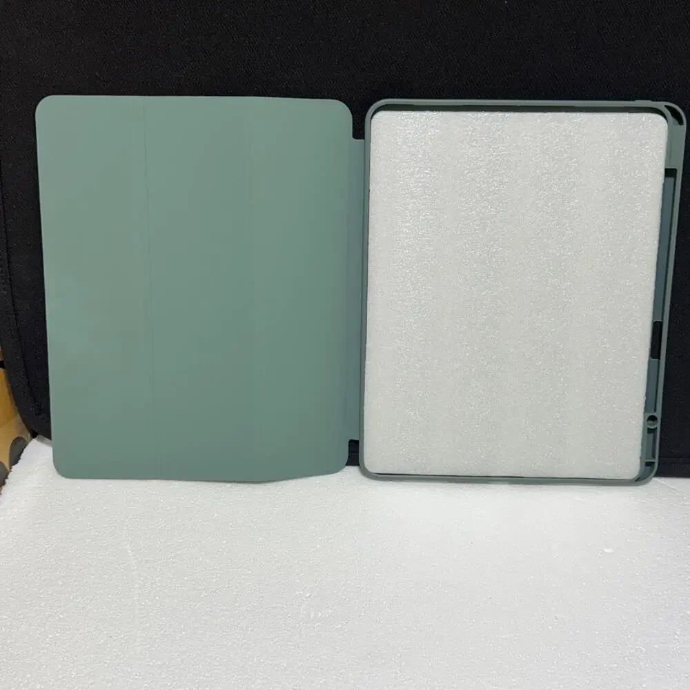 Esr hybrid ipad